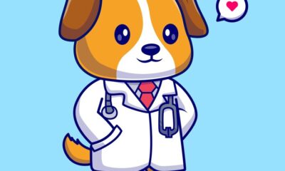 DrDoge