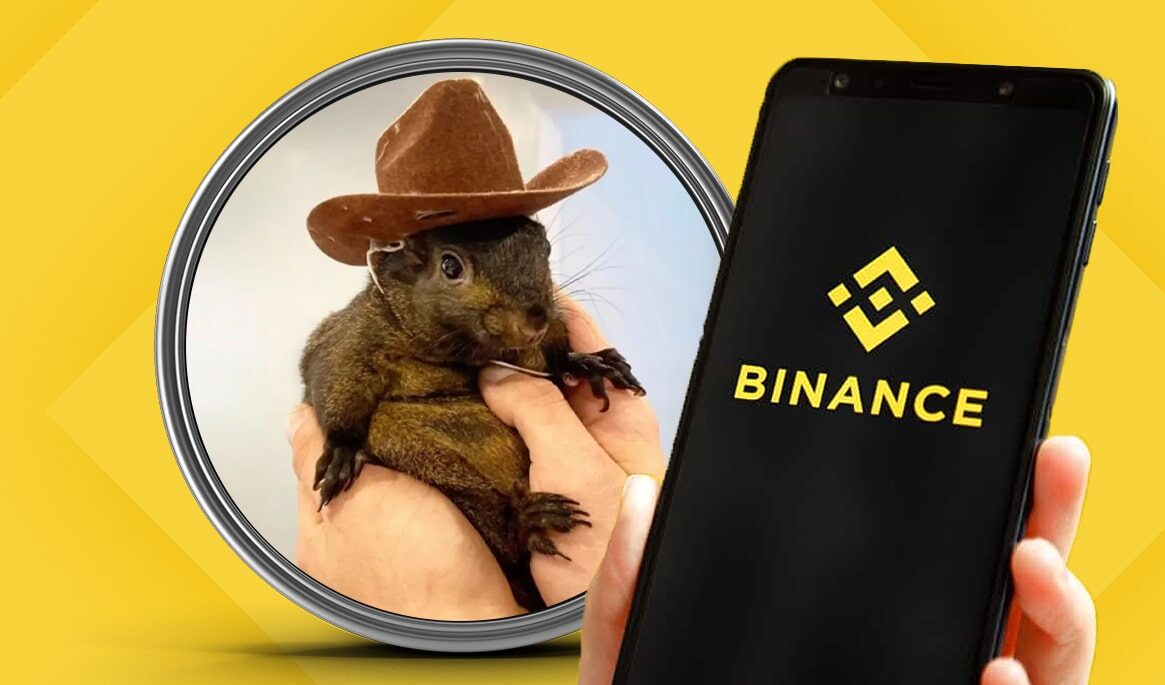 Peanut Crypto Forecast 2024